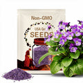50pcs ‘Violet Glow’ Purple Sunflower Seeds – Rare Variety for Garden Beds, Pollinator Fields, and Cut Flower Displays