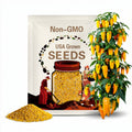 10 Golden Marconi pepper seeds - Beautiful, Golden Italian peppers USA ! Specialty ! 2024 !