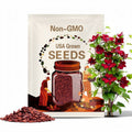 Clematis Red Nubia seed 15