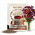 20+ Seeds| Bashful Dahlia Seeds - Perennial - Flowering - Hybrid - Open-Pollinating - Fast Growing - Clumping - Plant in Spring #D014