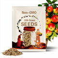 50 Honeycrisp Apple Tree Seeds - FRESH SEEDS - Limited Supply - Order Soon - Thank You