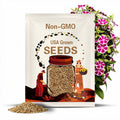 Fuji no Beni Japanese Morning Glory Seeds - ipomoea Nil - Deep Red of Mt. Fuji