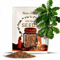 Chestnut Oak Tree Seeds | Quercus montana | Drought-Tolerant Native Oak for Wildlife & Restoration