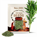Wild Rocket Arugula Seeds - Heirloom Seeds, Slow Bolt, Long Season, Mustard Green, Fresh Salad Green, Container Garden, Non-GMO