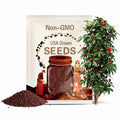 Brazil Pepper Seeds: Maui Grown - Hot Peppers, Container Gardening