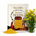 Yellow Sulfur Flower Seeds, Sulfur Buckwheat, Eriogonum Umbellatum, EG012C