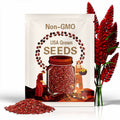 50+ Red Anthurium Flower Seed / Long Blooming Indoor Houseplant