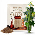 10 Luffa Gourd Seeds. Ships free.