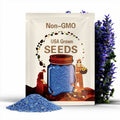 50pcs Blue Teddy Bear Sunflower Seeds - Stunning Annual Blooms for Your Garden Non GMO Heirloom Garden - Planting Instructions for Easy Grow