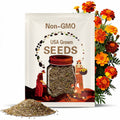 French Marigold Seeds Bonanza Bolero