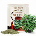 China Jade cucumber seeds - Fresh ! Delicious ! Specialty ! Asian ! Tasty !