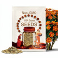 Heirloom Marigold Durango Flame 30 Seeds Package