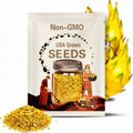 Yellow Skin Dragonfruit seeds Selenicereus undatus
