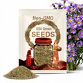 Symphyotrichum oblongifolium Seeds – Aromatic Aster | 100 Native Wildflower Seeds