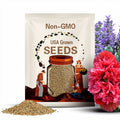 Poppy Peony Salmon x 100 seeds