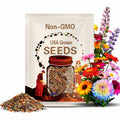 100+ Rainbow Chrysanthemum Seeds | Perennial Outdoor Garden Flowers