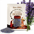 Blue Thyme Creeper NON GMO Ground Cover 300 Seeds
