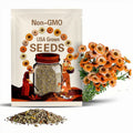 50s|Pink Surprise Calendula Seeds -Perennial -Authentic Seeds-Flowers -Organic. Non GMO -Vegetable Seeds-Mix Seeds for Plant #H005