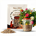 200 Giant Double Zinnia Mix Seeds. Ships free