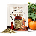 Jack O’Lantern Pumpkin Seeds – Heirloom Vegetable, Classic Carving Pumpkin, Non-GMO, Ideal for Halloween Decorations | 20 Seeds