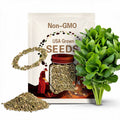 Jericho Romaine Lettuce Seeds 600+ Lactuca Sativa Vegetable NON-GMO USA