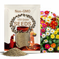 Dahlia, Mignon Mix | 25 Seeds | Heirloom Flower | Easy to Grow | Petite Blooms | Dahlia variabilis